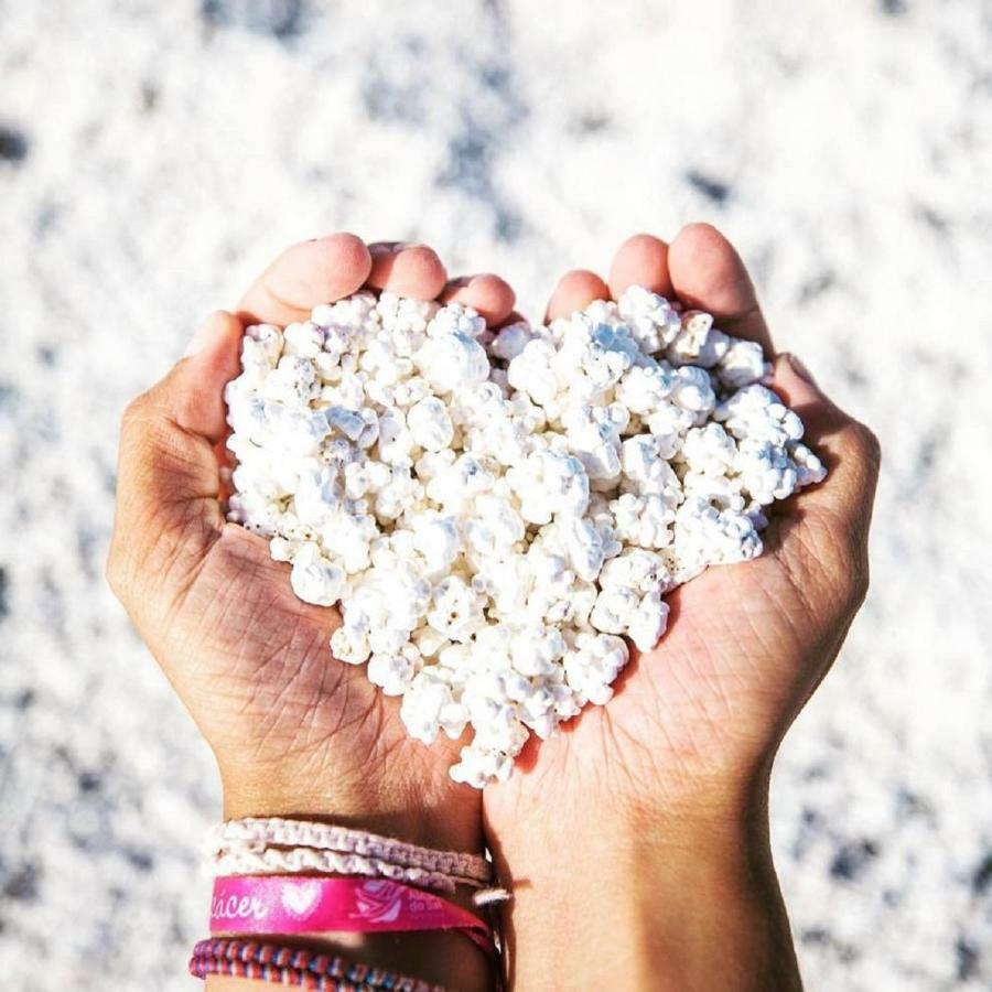 Popcorn Beach House 科拉雷侯 外观 照片